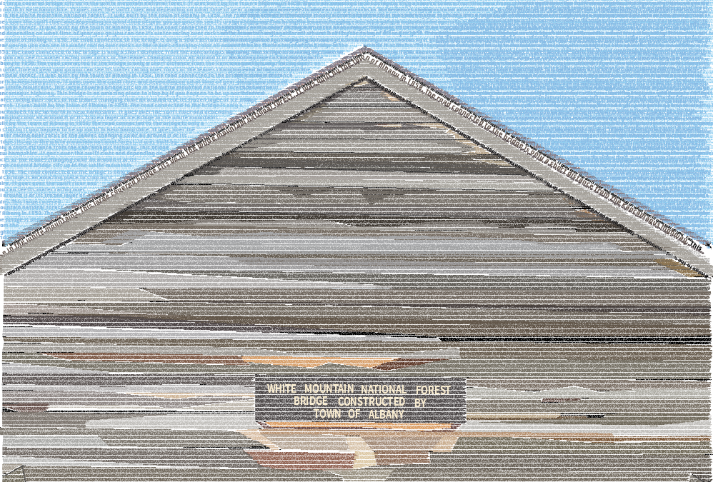 Bridge Out of Type